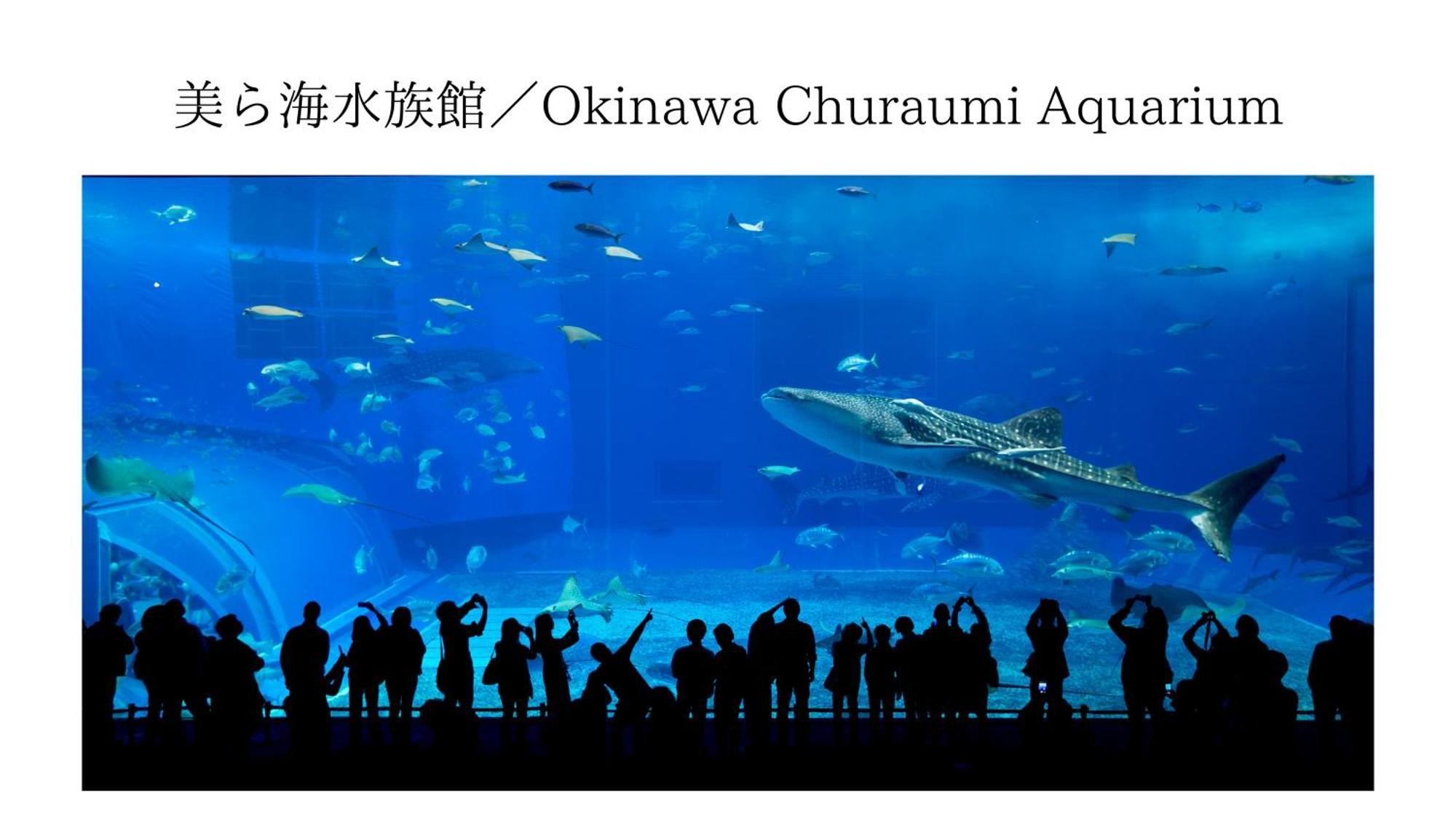 Aqua Shallows Onna Kültér fotó